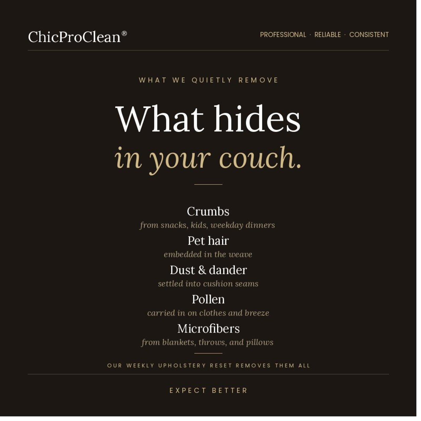 What hides in your couch